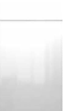 Delight Glossy White